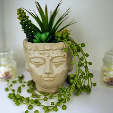 Myosotis By The Mamaia