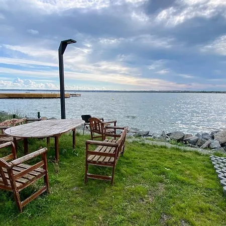 Myosotis By The Apartment Mamaia