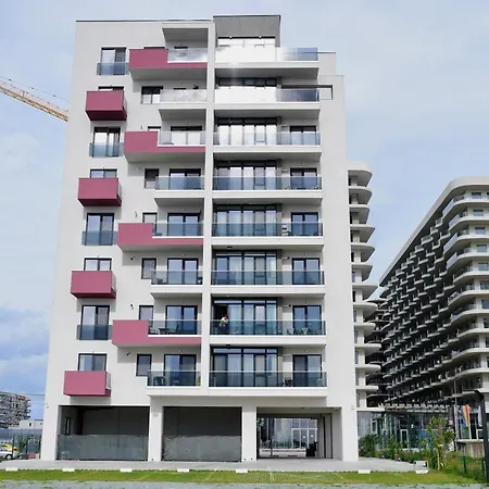 Myosotis By The Apartment Mamaia