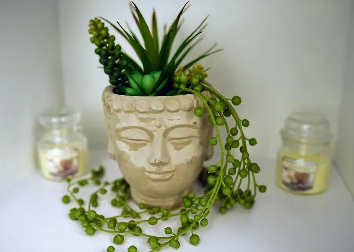 Myosotis By The Mamaia