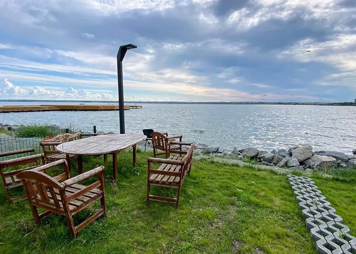 Myosotis By The Apartment Mamaia