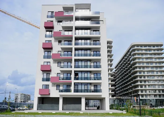 Myosotis By The Apartment Mamaia